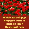 Which part of guys body you want to touch or feel # Hushcupid.com